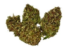 CBD konopí - Amnesia - 5 g - Dobrý Šaman