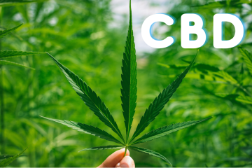Vše o CBD