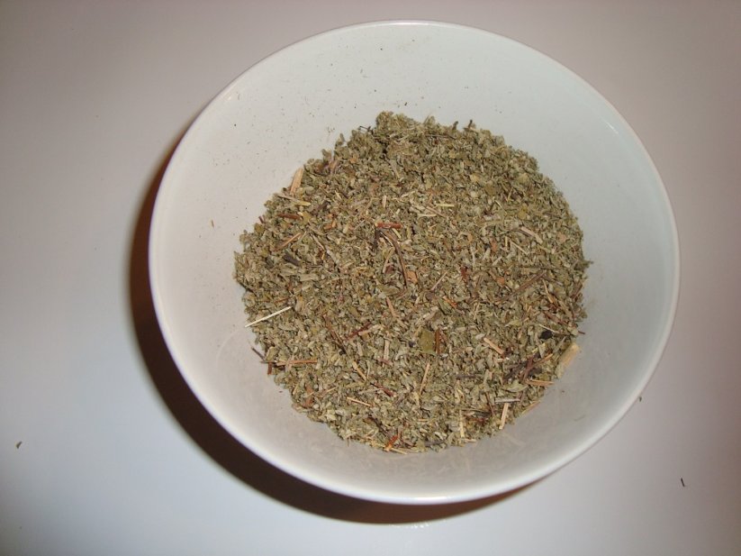 Damiana v misce