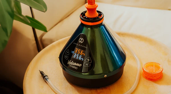 Volcano Hybrid Evergreen